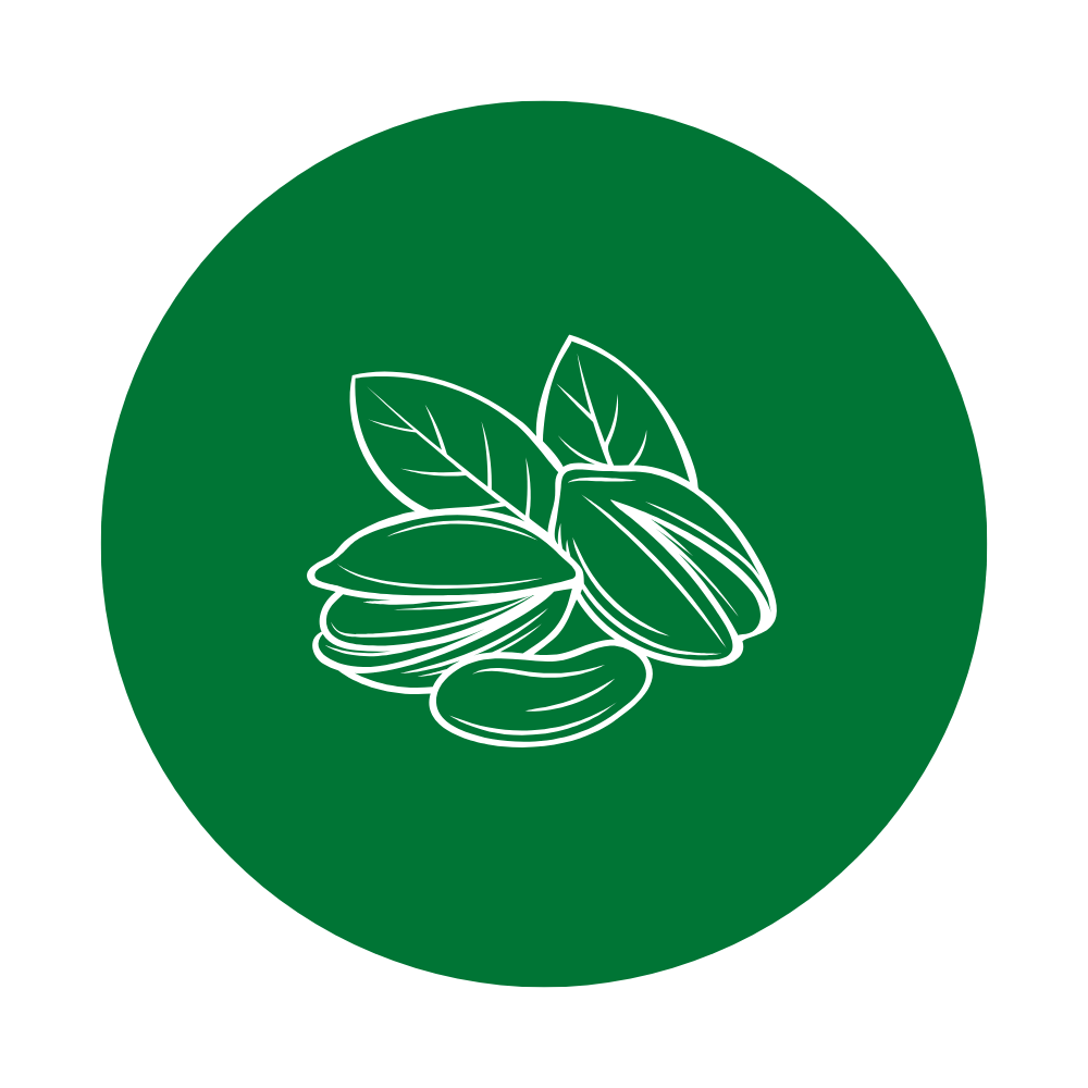 Protein