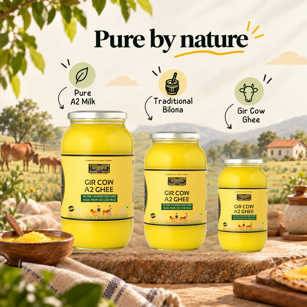 A2 Gir Cow Ghee