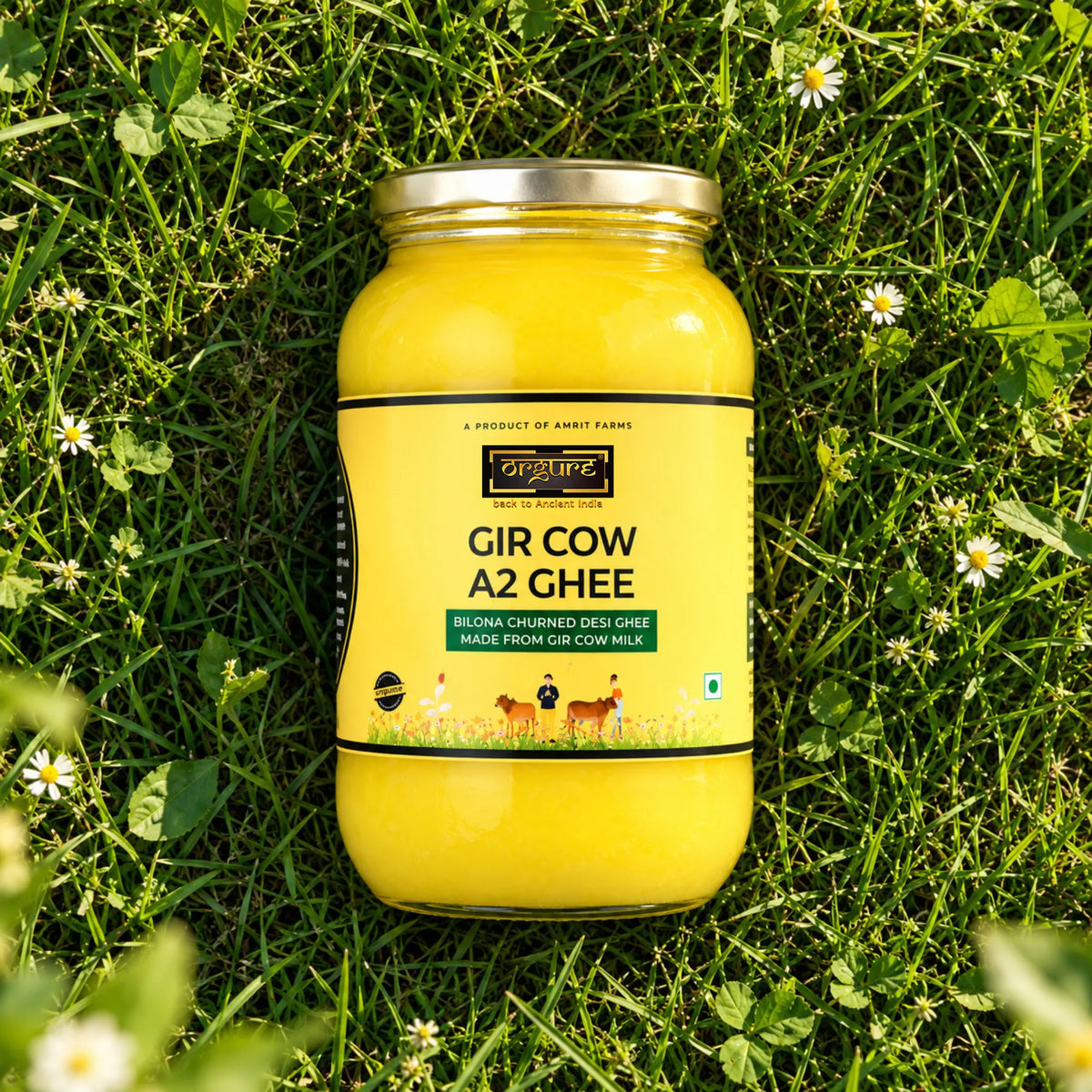 A2 Gir Cow Ghee