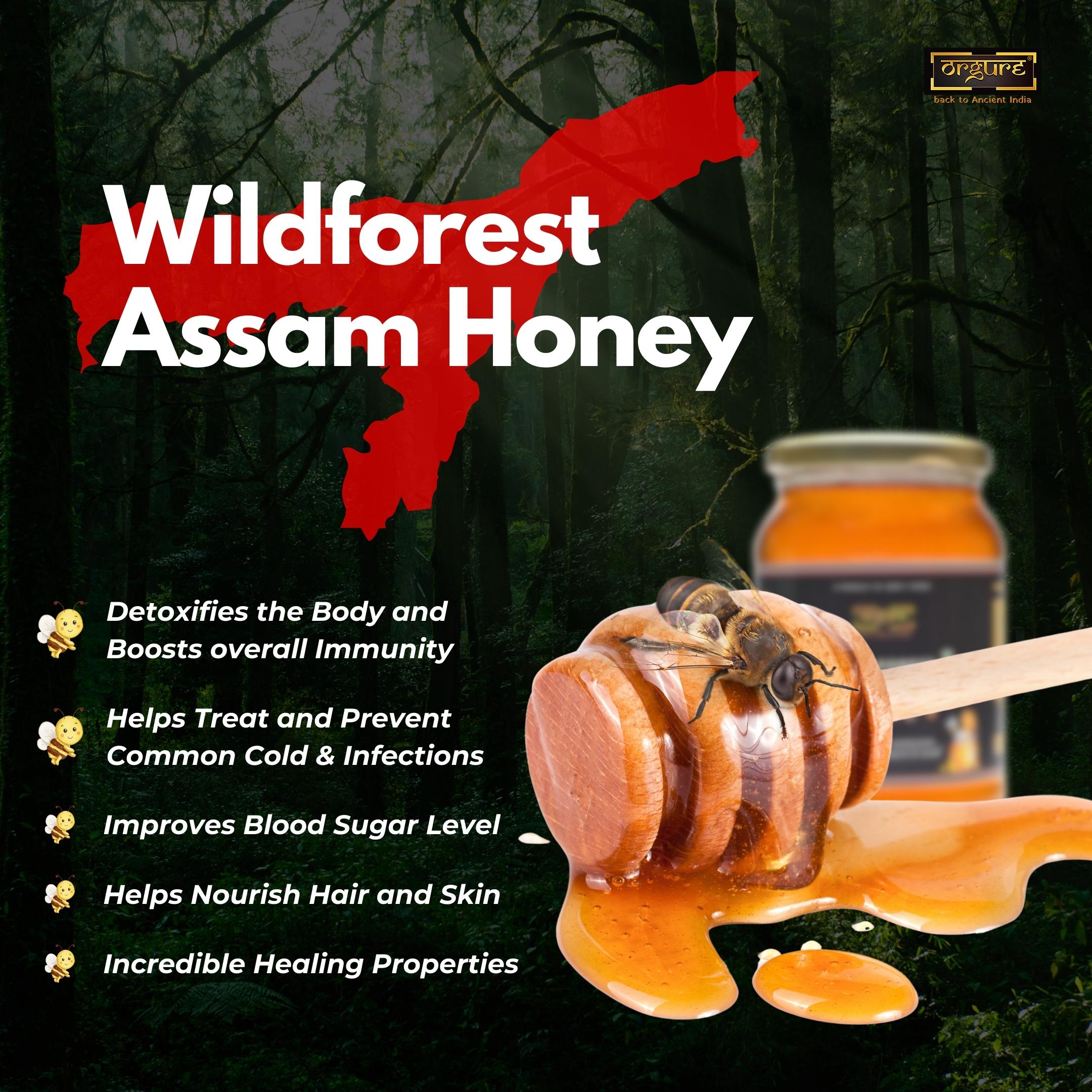 Wild Forest Honey (Assam)