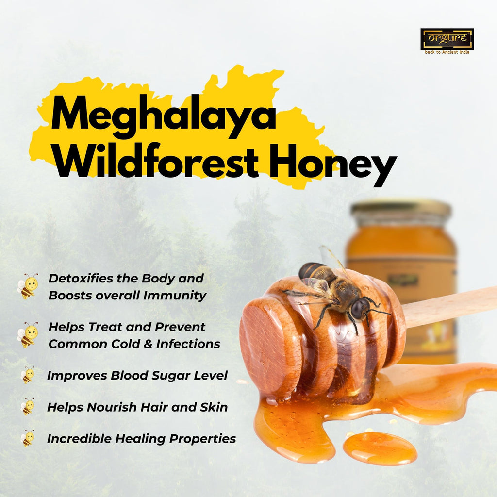 Wild Forest Honey (Meghalaya)