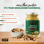 Satvik Protein Mix