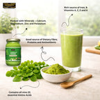 Moringa Powder