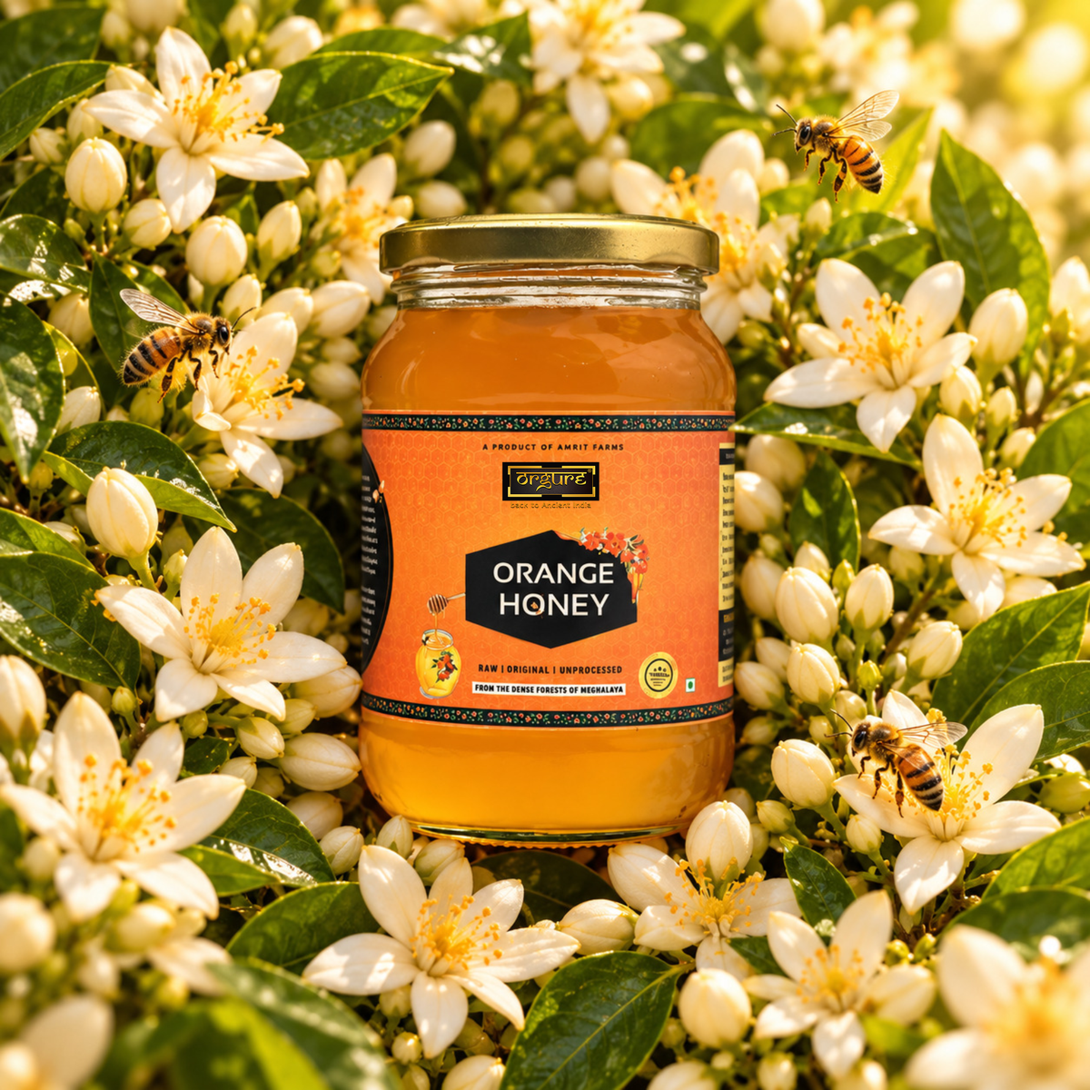 Orange Honey (Meghalaya)