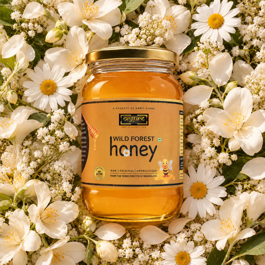 Wild Forest Honey (Meghalaya)